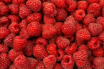 Tasty fresh raspberry as a background.