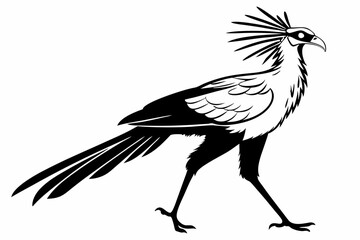 secretary bird sihouette black vector