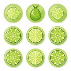 Desert Lime icon set in flat vector style