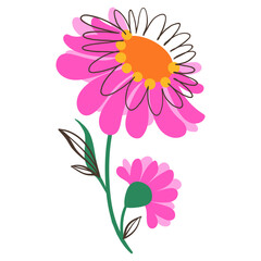 Beautiful Flower in Doodle Style. Colorful plant with cute line sketches of branches isolated on white background. Nature herb perfect for invitations, cards, posters, holidays