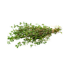 Natural bunch of culinary thyme herbs freshly picked and isolated on transparent background