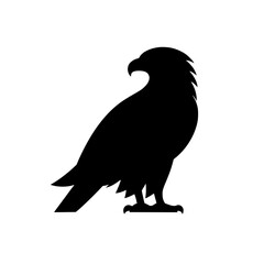 eagle vector illustration