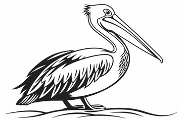 pelican sihouette black vector