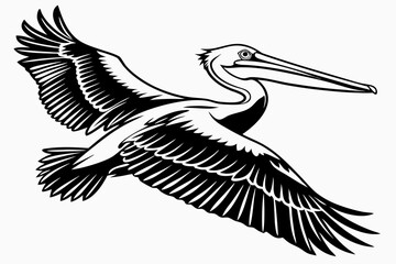 pelican sihouette black vector