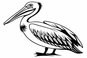 pelican sihouette black vector