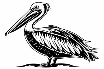 pelican sihouette black vector