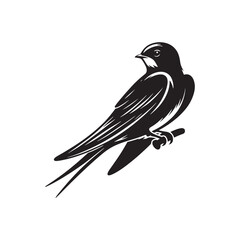 Barn Swallow Vector Silhouette - Minimalist Black and White Barn Swallow Design - Illustration of Barn Swallow.