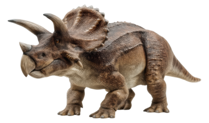 Realistic Triceratops Dinosaur Model with Detailed Brown Scales and Characteristic Three-Horned Skull Side View Photography Isolated on Transparent and White Background