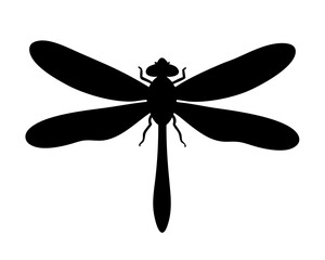 dragonfly on white background