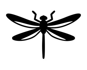 dragonfly on white background