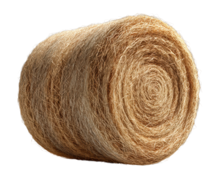 Large Cylindrical Round Hay Bale with Detailed Circular Swirl Pattern Showing Natural Golden Straw Texture Side View Isolated on Transparent and White Background