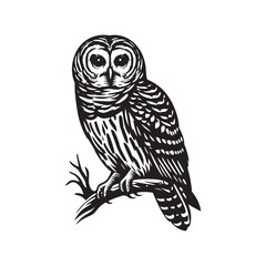 Barred owl Silhouette - Barred owl Vector - Minimalist Barred owl Illustration - Black and White Art.