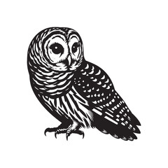 Barred owl Silhouette - Barred owl Vector - Minimalist Barred owl Illustration - Black and White Art.