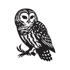 Barred owl Silhouette - Barred owl Vector - Minimalist Barred owl Illustration - Black and White Art.