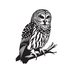 Barred owl Silhouette - Barred owl Vector - Minimalist Barred owl Illustration - Black and White Art.