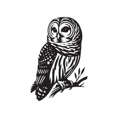Barred owl Silhouette - Barred owl Vector - Minimalist Barred owl Illustration - Black and White Art.