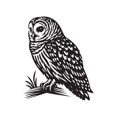 Barred owl Silhouette - Barred owl Vector - Minimalist Barred owl Illustration - Black and White Art.