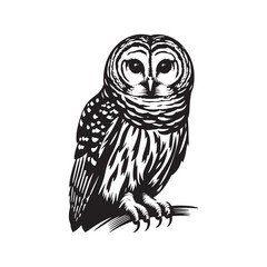 Barred owl Silhouette - Barred owl Vector - Minimalist Barred owl Illustration - Black and White Art.