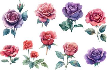 seamless pattern with roses