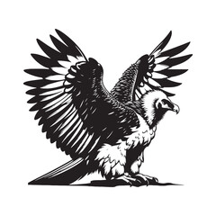 Bearded Vulture Silhouette - Black and White Bearded Vulture Illustration - Bearded Vulture Vector.