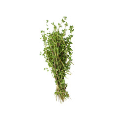 A bunch of fresh green thyme sprigs arranged naturally on transparent background