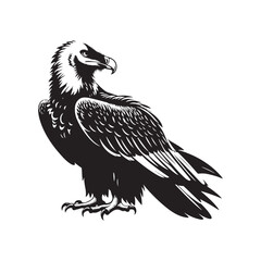Bearded Vulture Silhouette - Black and White Bearded Vulture Illustration - Bearded Vulture Vector.