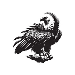 Bearded Vulture Silhouette - Black and White Bearded Vulture Illustration - Bearded Vulture Vector.