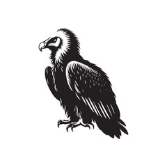 Bearded Vulture Silhouette - Black and White Bearded Vulture Illustration - Bearded Vulture Vector.