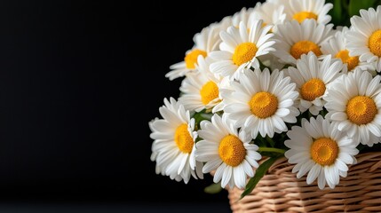 Obraz premium A basket full of white daisies on a black background