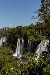 waterfall in the forest