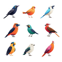 Fototapeta premium Vibrant tropical bird collection nine colorful avian illustrations