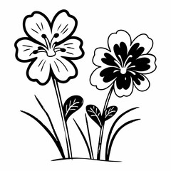 black and white flowers