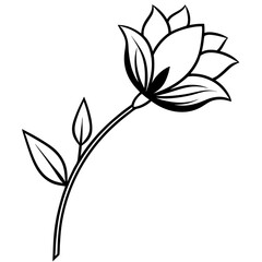 vector illustration of a plant