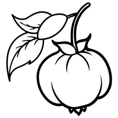 vector illustration of an apple