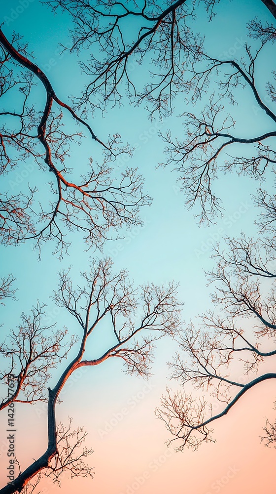 Aufkleber a serene view of bare branches against a colorful sky, creating a tranquil and artistic atmosphere.