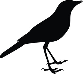 Silhouette Crow Clipart