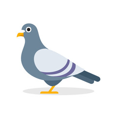 Vector Illustration of a pigeon, Cute Bird Character side look.