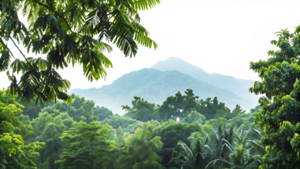 view of tropical forest with mountains isolated on white background PNG. GENERATIVE AI