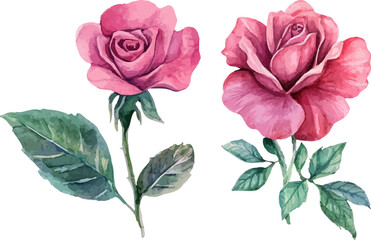 Fototapeta premium bouquet of pink roses