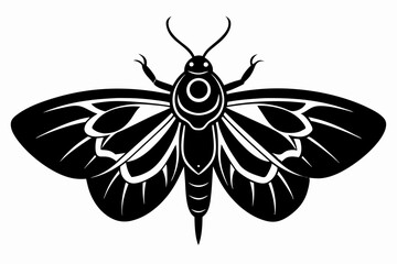moth sihouette black vector