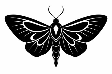 moth sihouette black vector