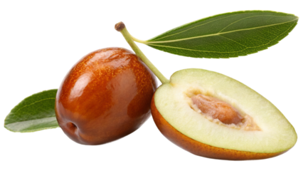 Fresh jojoba fruit and halved slice of jojoba with its stem and leaves isolated on white background. Suitable for marketing or business purposes. PNG file