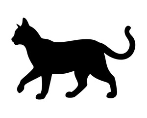 black cat silhouette on white background