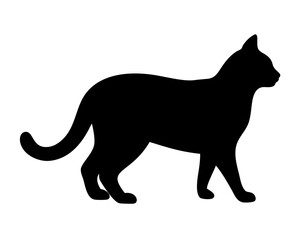 black cat silhouette on white background