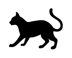 black cat silhouette on white background