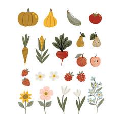 Vector illustration set in flat cartoon style featuring pumpkins, pears, apples, strawberries, wheat, carrots, zucchini, tomatoes, and beets. Isolated on white. Cute, colorful, and kid-friendly design