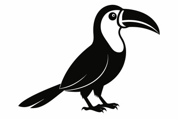 toucan sihouette black vector