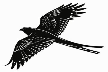 nightjar sihouette black vector