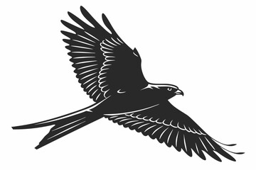 nightjar sihouette black vector