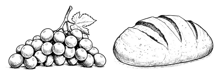 bread and bunch of grapes sketch vector illustration © Mago